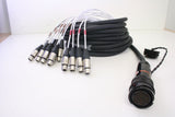 SIB Series 12 Channel Fan Out Cables - XLR male